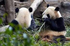 CYNN XANADU Hotel Chengdu