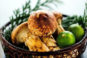 Kanazawa YuOnsen Hyakurakusou