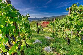 Vineyard Cottage Stepan
