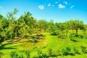 Henderson 3 Bedroom Home by RedAwning