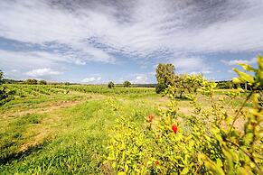 Agriturismo Bio Podere 109 - Wine & Food