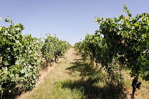 Agriturismo Bio Podere 109 - Wine & Food