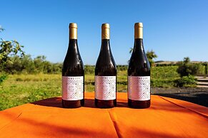 Agriturismo Bio Podere 109 - Wine & Food