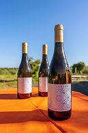 Agriturismo Bio Podere 109 - Wine & Food