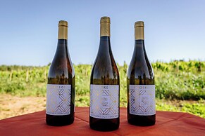 Agriturismo Bio Podere 109 - Wine & Food