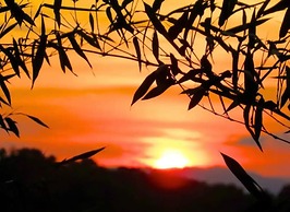 Casa con espectacular vista al mar