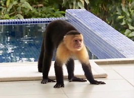 Casa con espectacular vista al mar