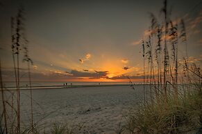 9302seashell19isnco - Seashell 19