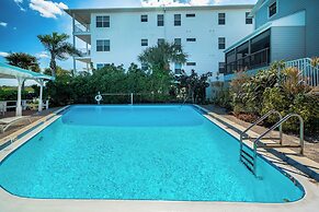 9302seashell19isnco - Seashell 19