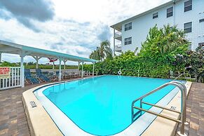 9302seashell19isnco - Seashell 19