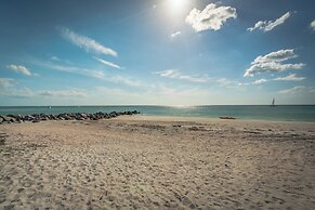 9302seashell19isnco - Seashell 19