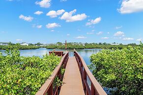 9302seashell19isnco - Seashell 19