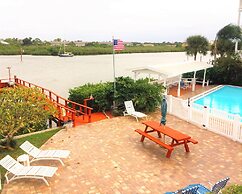 9302seashell19isnco - Seashell 19