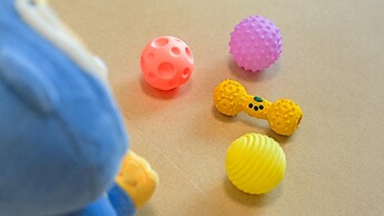 Gapyeong sky pet Family Dogchae Pension