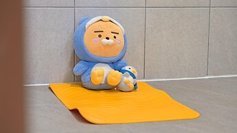 Gapyeong sky pet Family Dogchae Pension