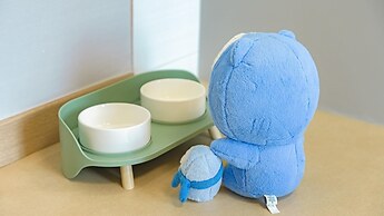 Gapyeong sky pet Family Dogchae Pension