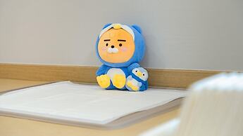 Gapyeong sky pet Family Dogchae Pension