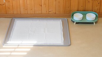 Gapyeong sky pet Family Dogchae Pension