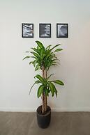 Hostal Boutique Casa Mosaiko Primer Parque