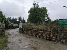 Ziro Valley Resort