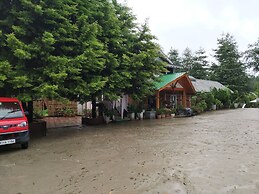 Ziro Valley Resort