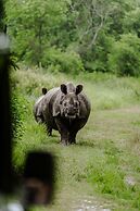 Sanctuary-Chitwan National Park