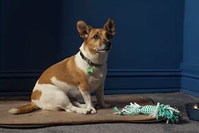 Maria Luisa by INTROVERT HOTELS