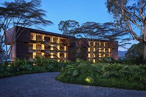 The Brown, Guatape, Autograph Collection