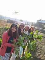 Sukoon Retreat Dakpathar