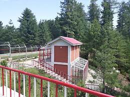 Shalimar Hotel and Restaurant