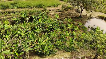 Pousada Boutique Raio de Luz