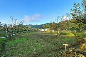 Dyo - The Organic Village Resort