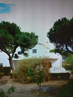 Villa Alma, Independent Apartment In Villa 700mt to The Sea