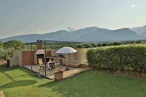 Olives and Vines all Season Villa