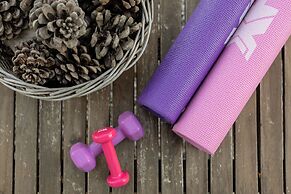 Olives and Vines all Season Villa