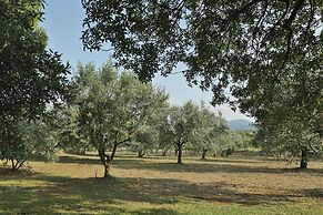 Olives and Vines all Season Villa
