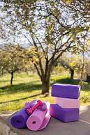 Olives and Vines all Season Villa