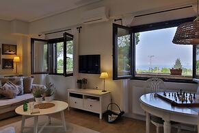 Olives and Vines all Season Villa