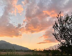 Olives and Vines all Season Villa