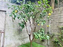 Lemon Tree Resort - FreeParking