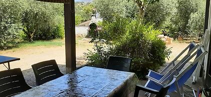 Relax - Olive And Sea Sperlonga