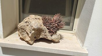 Casa Eleonora in Veglie