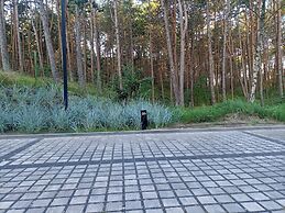 Shellter Apartment Rogowo by Renters