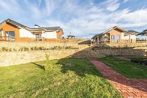 Tolstoy'un Bisikleti Otel