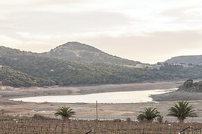 Tolstoy'un Bisikleti Otel
