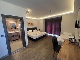 Tolstoy'un Bisikleti Otel