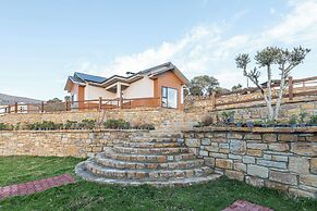 Tolstoy'un Bisikleti Otel