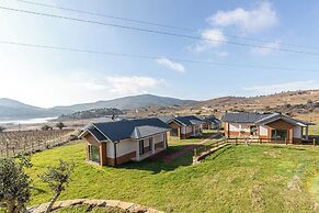 Tolstoy'un Bisikleti Otel