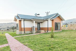 Tolstoy'un Bisikleti Otel