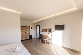 Tolstoy'un Bisikleti Otel